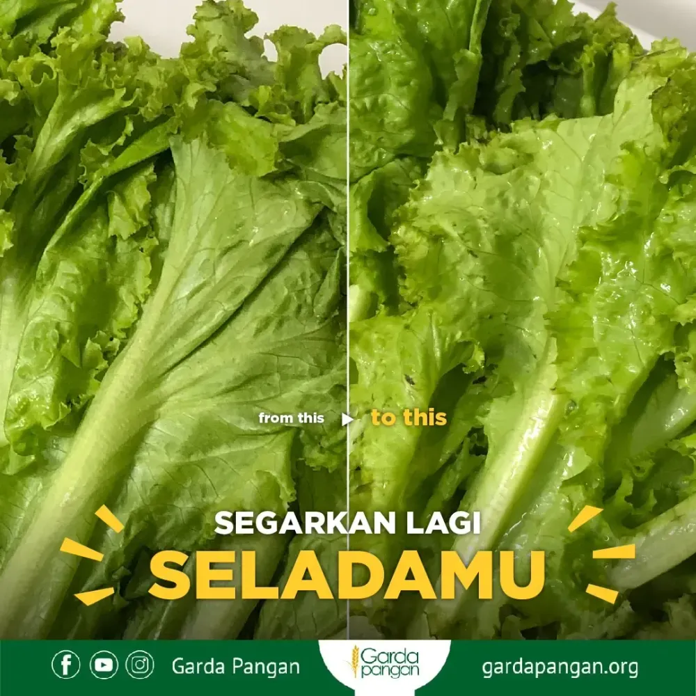 Segarkan Lagi Seladamu
