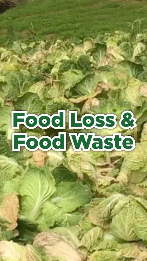 Food Loss and Food Waste?