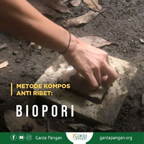 Metode Kompos Anti Ribet: Biopori